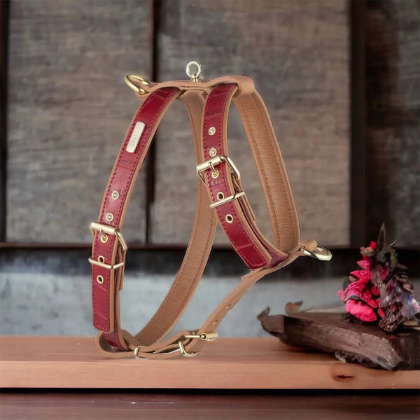 Hundegeschirr Gepolstert Leder