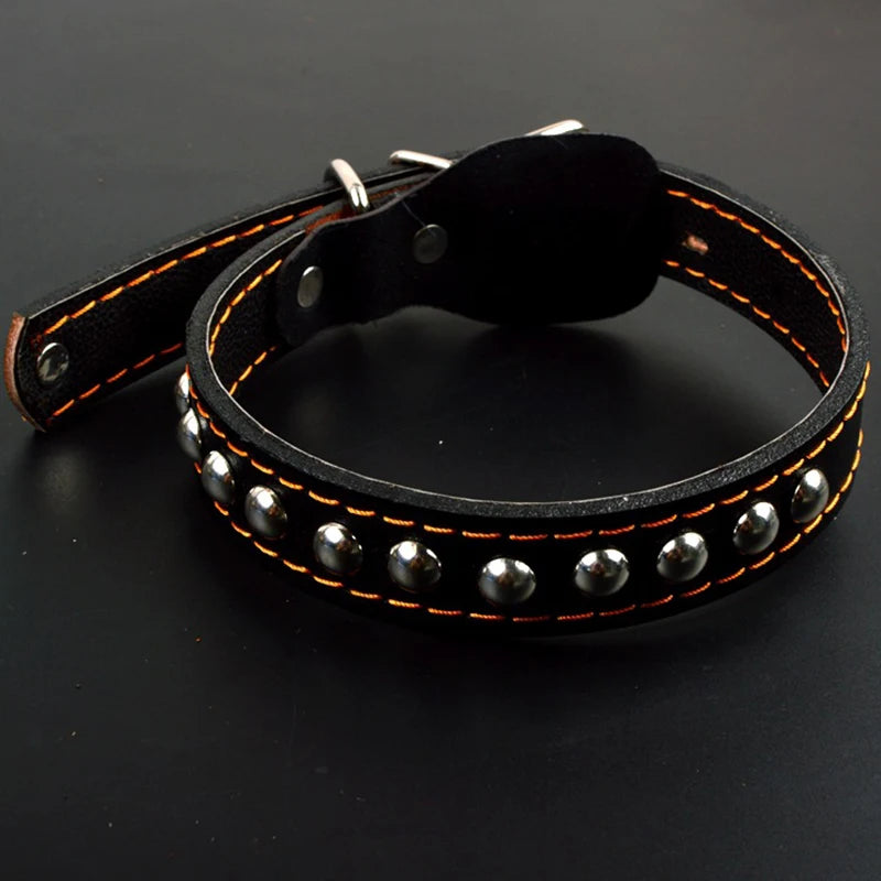 Premium Leder Hundehalsband & Leine Set – Robustes Leder für große Hunde, sicher & stilvoll