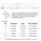 Personalisiertes Luxus Hunde-Halsband aus Leder mit Namensgravur – Gepolstertes Designer-Halsband für kleine, mittlere & große Hunde