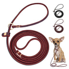 Leder Hundeleine mit Zugstopp-Halsband (P-Chain) – Robuste Slip-Leine aus echtem Leder in 4ft/5ft für kleine & mittlere Hunde