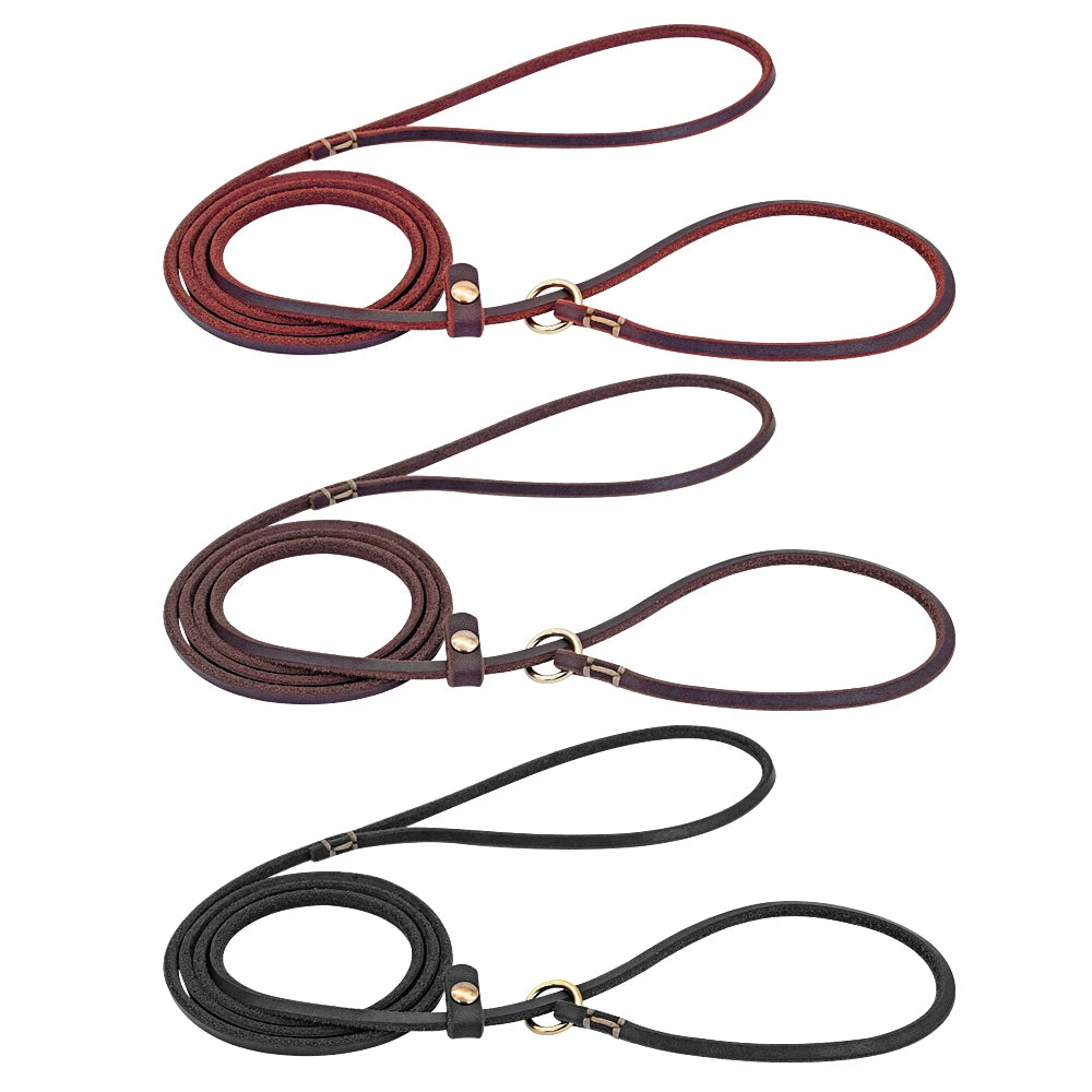 Leder Hundeleine mit Zugstopp-Halsband (P-Chain) – Robuste Slip-Leine aus echtem Leder in 4ft/5ft für kleine & mittlere Hunde