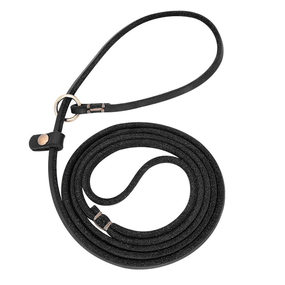 Leder Hundeleine mit Zugstopp-Halsband (P-Chain) – Robuste Slip-Leine aus echtem Leder in 4ft/5ft für kleine & mittlere Hunde