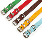 PU-Leder Hundehalsband – Verstellbares Basic Halsband mit Schnellverschluss für Hunde & Katzen (S–L)