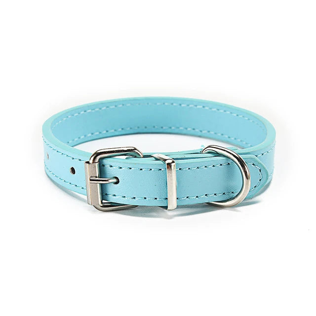 PU-Leder Hundehalsband – Verstellbares Basic Halsband mit Schnellverschluss für Hunde & Katzen (S–L)