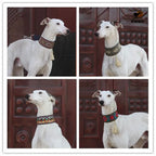 Hunde-Halsband aus Schaffell &amp; Leder – Ethnisches Design für kleine, mittlere &amp; große Hunde (auch Windhunde) 