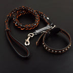 Premium Leder Hundehalsband & Leine Set – Robustes Leder für große Hunde, sicher & stilvoll