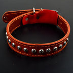 Premium Leder Hundehalsband & Leine Set – Robustes Leder für große Hunde, sicher & stilvoll