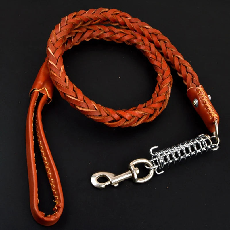 Premium Leder Hundehalsband & Leine Set – Robustes Leder für große Hunde, sicher & stilvoll