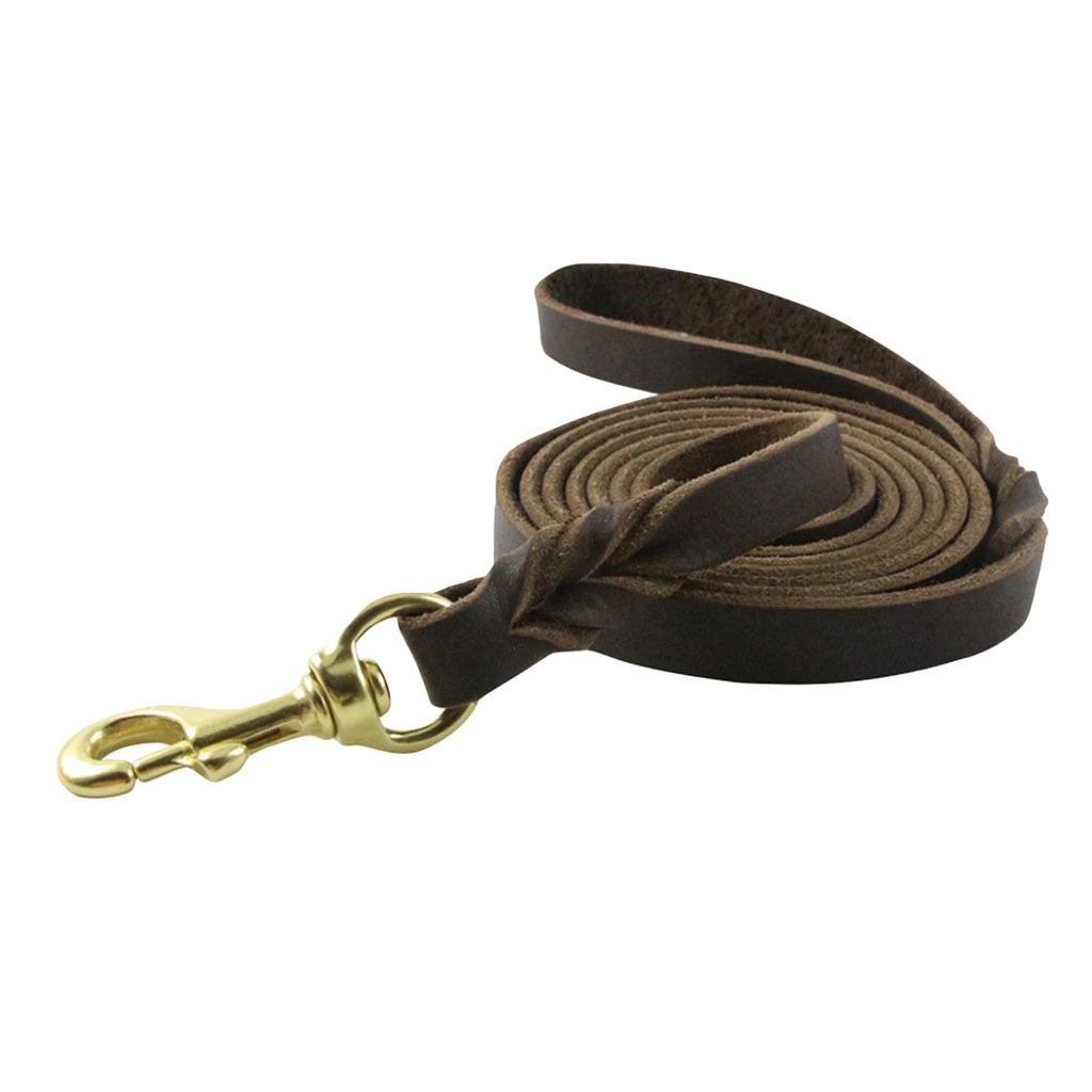 Geflochtene Leder Hundeleine aus Rindsleder – Robuste Trainings- & Spazierleine für mittelgroße und große Hunde
