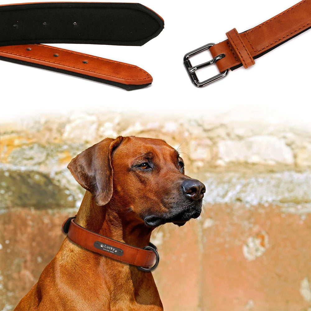 Personalisiertes Luxus Hunde-Halsband aus Leder mit Namensgravur – Gepolstertes Designer-Halsband für kleine, mittlere & große Hunde