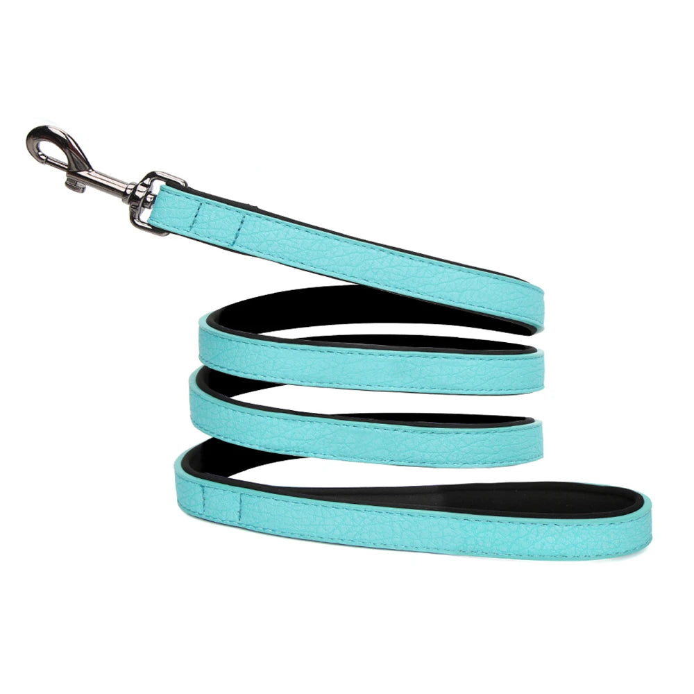 Personalisiertes Luxus Hunde-Halsband aus Leder mit Namensgravur – Gepolstertes Designer-Halsband für kleine, mittlere & große Hunde