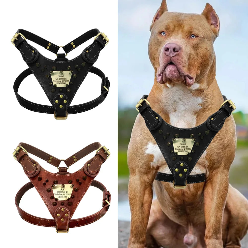 Personalisiertes Leder Hundegeschirr mit scharfen Nieten – Robustes Spiked Geschirr mit ID-Tag für mittelgroße & große Hunde (Pitbull, Boxer, Mastiff)