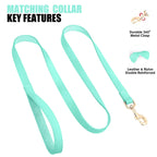 Ensemble de harnais et de laisse personnalisés pour chiens en cuir PU – Attaches individuelles avec ceinture pour petits et grands chiens 