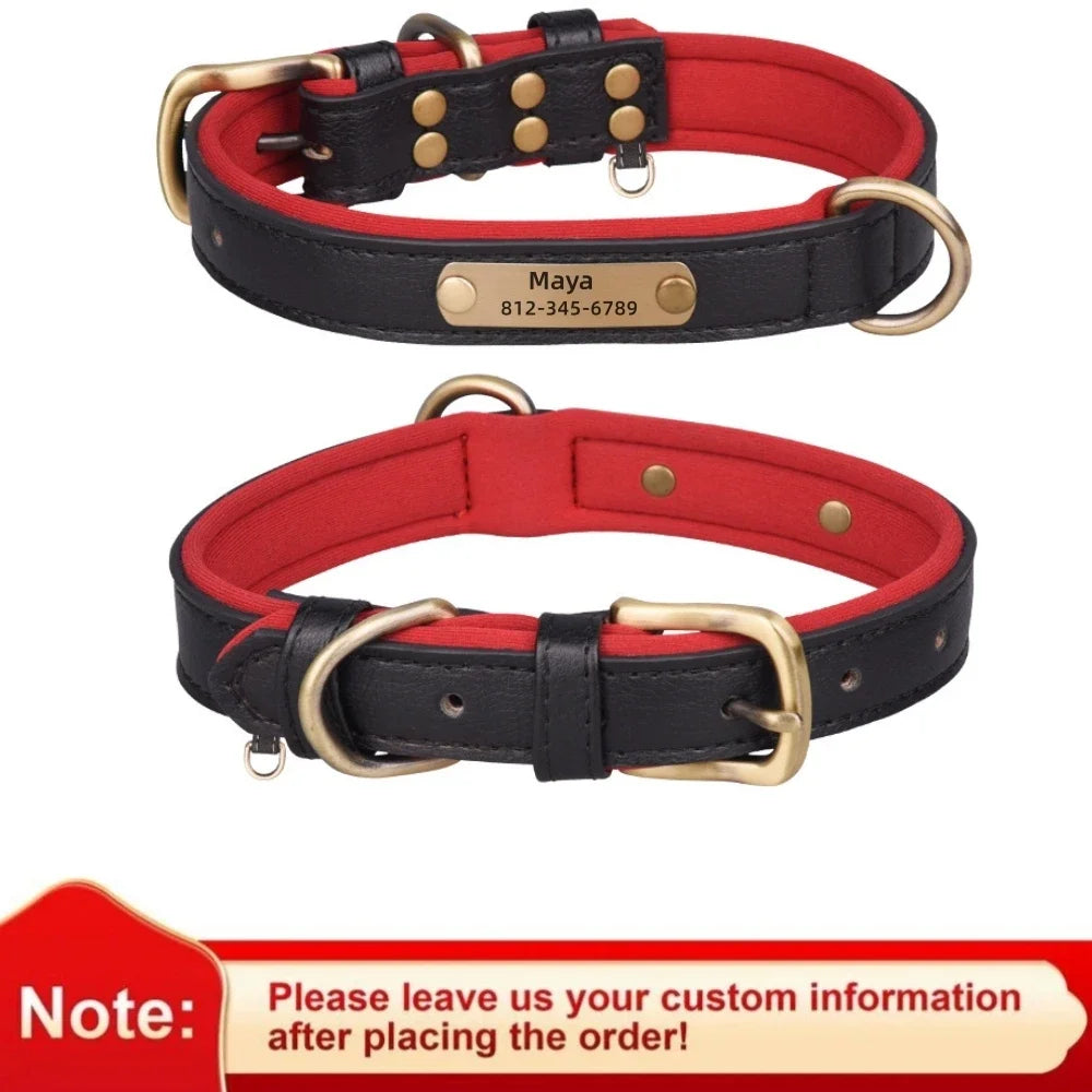 Personalisiertes Leder Hunde-Halsband mit Gravur – Weich gepolstertes, verstellbares Halsband inkl. Namensschild für kleine, mittlere & große Hunde