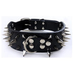 Spikes Hunde-Halsband & Leinen-Set aus Leder – Nieten-Halsband mit Polsterung, verstellbar & robust für Outdoor-Spaziergänge