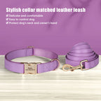 Ensemble de harnais et de laisse personnalisés pour chiens en cuir PU – Attaches individuelles avec ceinture pour petits et grands chiens 