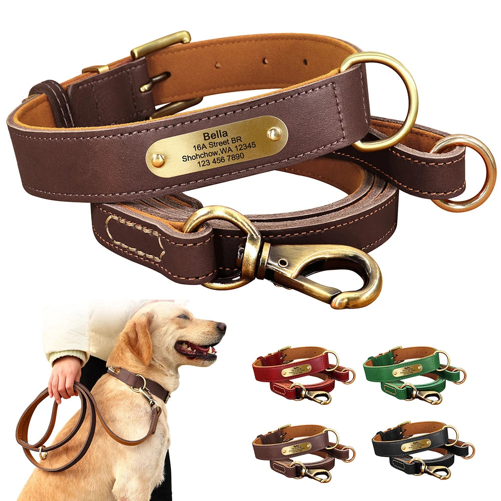 Personalisierbares Leder-Hundehalsband & Leine – Robust, Komfortabel und Individuell Graviert
