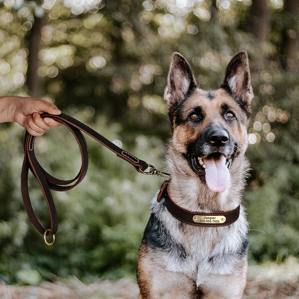 Personalisierbares Leder-Halsband & Leinen-Set für Hunde – Robustes Echtleder mit Gravur für kleine bis große Hunde