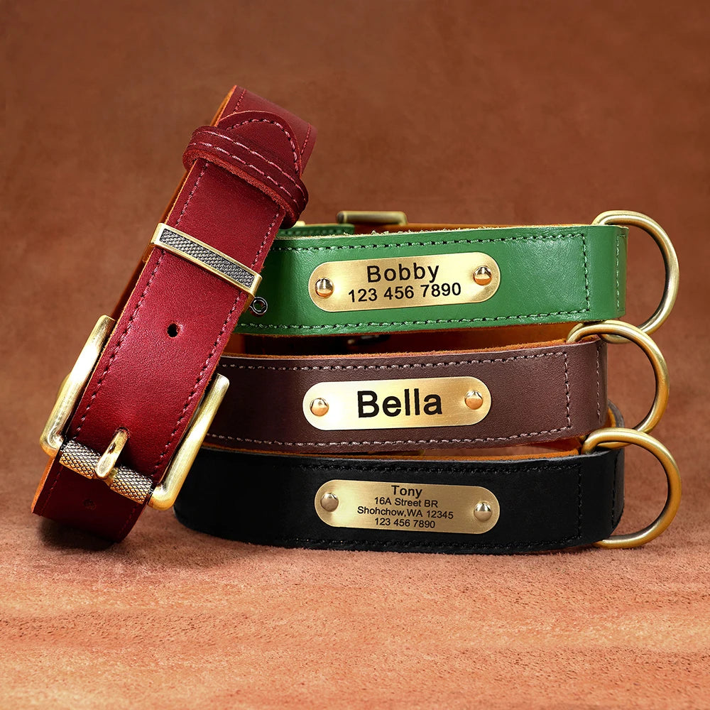 Personalisierbares Leder-Hundehalsband & Leine – Robust, Komfortabel und Individuell Graviert