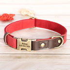Personalisierbares Hundehalsband mit Leine aus PU-Leder – Robust, Verstellbar & Individuell Gestaltbar für Kleine und Große Hunde