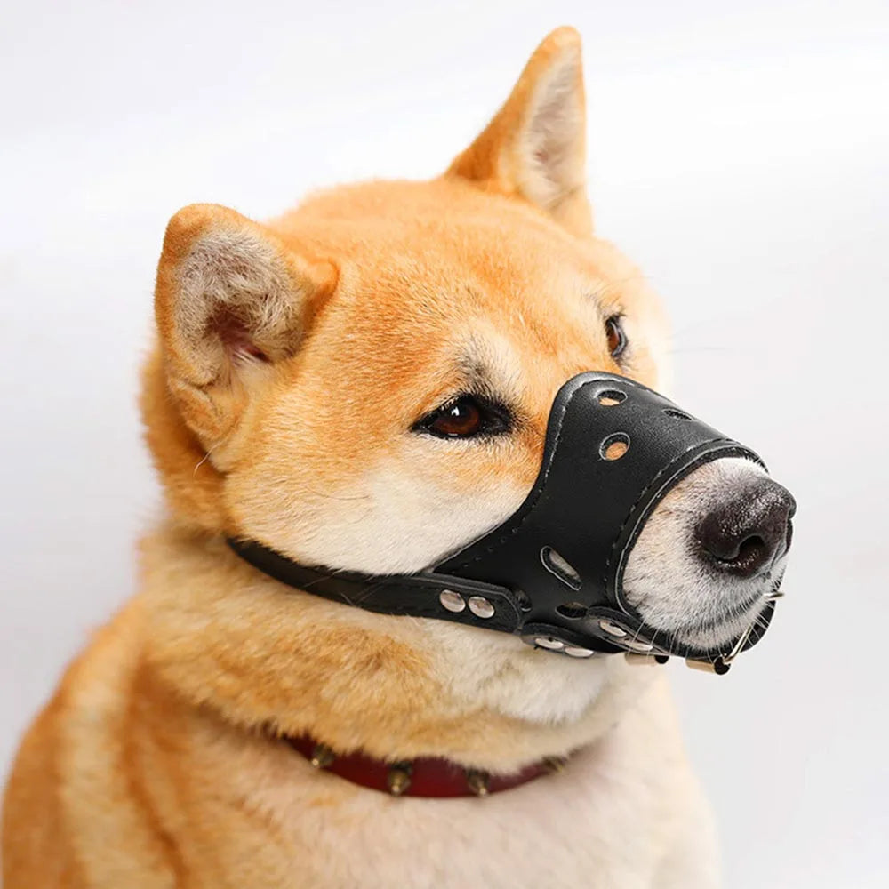 Ceinture en cuir blanc pour chiens de grande et moyenne taille – Verstellbarer Anti-Bellen, Beißen &amp; Kauen Maulschutz für Training &amp; Alltag 
