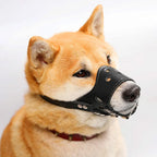 Ceinture en cuir blanc pour chiens de grande et moyenne taille – Verstellbarer Anti-Bellen, Beißen &amp; Kauen Maulschutz für Training &amp; Alltag 