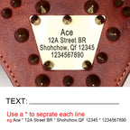 Harnais à pointes en cuir personnalisé avec plumes – Harnais à pointes robuste pour chiens de taille moyenne et grande, comme Pitbull et Bulldog 