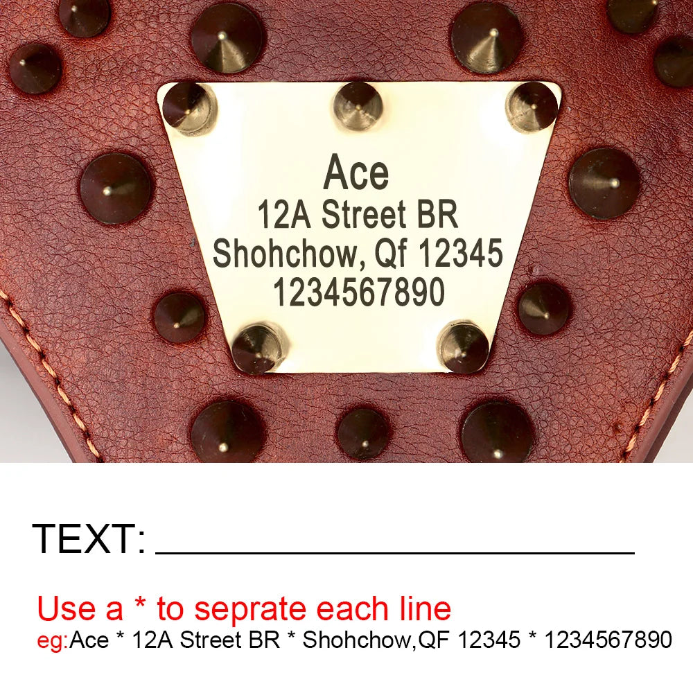 Personalisiertes Leder Hundegeschirr mit Nieten – Robustes Spiked Harness aus Echtleder für mittelgroße & große Hunde wie Pitbull & Bulldog