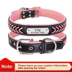 Graviertes Leder Hunde-Halsband mit Namensschild – Geflochtenes, personalisiertes ID-Halsband aus Leder für mittelgroße &amp; große Hunde 