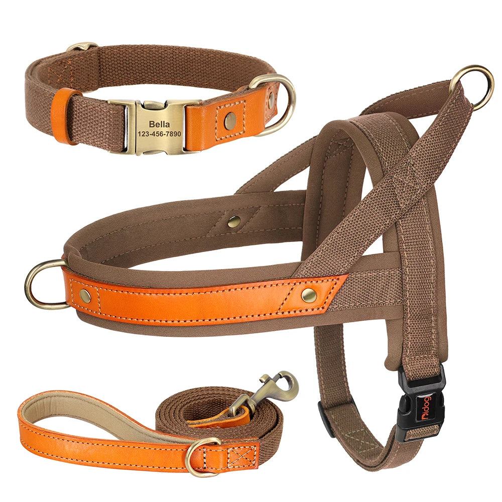 No-Pull Hunde-Geschirr Set aus Nylon & PU-Leder – Gepolstertes Harness mit Halsband & Leine für kleine, mittlere & große Hunde