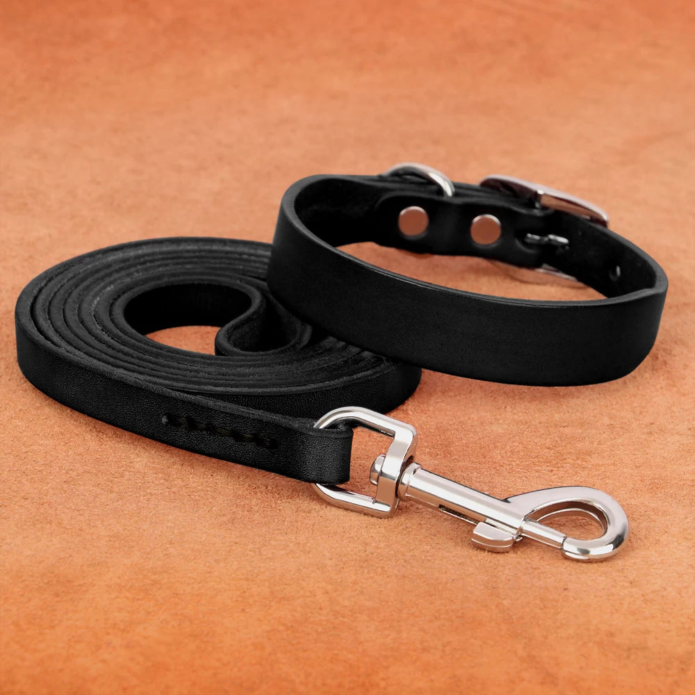 Echtes Leder Hunde- & Katzenhalsband – Verstellbares, langlebiges Lederhalsband XS–XL für kleine, mittlere & große Hunde