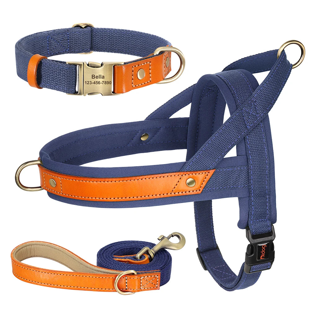 No-Pull Hunde-Geschirr Set aus Nylon & PU-Leder – Gepolstertes Harness mit Halsband & Leine für kleine, mittlere & große Hunde