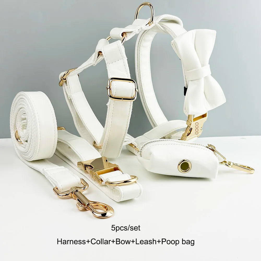 Weißes Leder-Halsband & Leinen-Set für Hunde – Personalisiert mit Gravurplatte