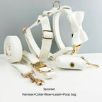 Weißes Leder-Halsband & Leinen-Set für Hunde – Personalisiert mit Gravurplatte