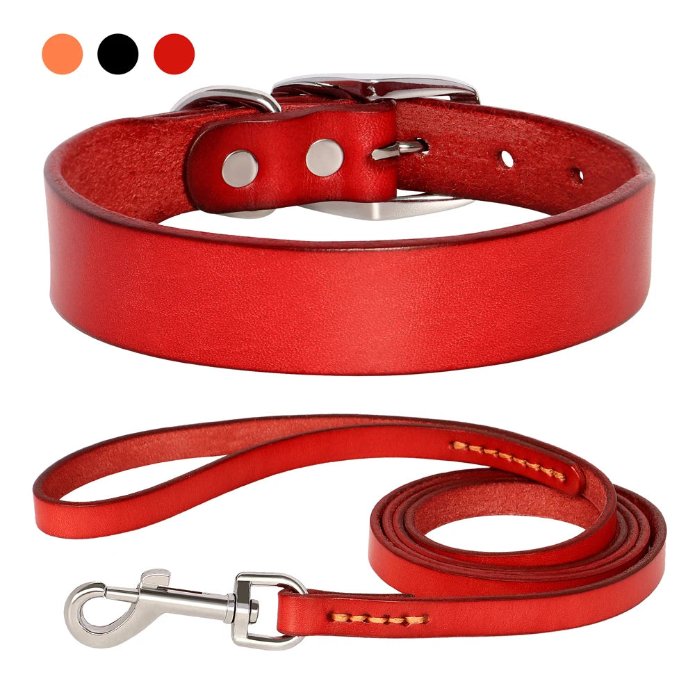 Echtes Leder Hunde- & Katzenhalsband – Verstellbares, langlebiges Lederhalsband XS–XL für kleine, mittlere & große Hunde