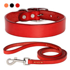 Echtes Leder Hunde- & Katzenhalsband – Verstellbares, langlebiges Lederhalsband XS–XL für kleine, mittlere & große Hunde