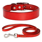 Echtes Leder Hunde- & Katzenhalsband – Verstellbares, langlebiges Lederhalsband XS–XL für kleine, mittlere & große Hunde