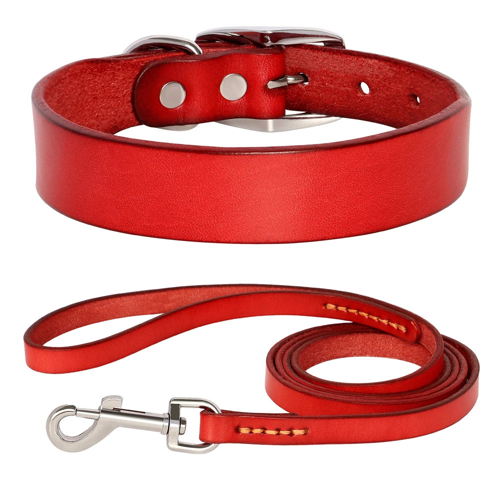 Echtes Leder Hunde- & Katzenhalsband – Verstellbares, langlebiges Lederhalsband XS–XL für kleine, mittlere & große Hunde