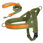 No-Pull Hunde-Geschirr Set aus Nylon & PU-Leder – Gepolstertes Harness mit Halsband & Leine für kleine, mittlere & große Hunde