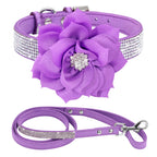 Glitzerndes Leder Hundehalsband mit Strass &amp; Blumenmotiv inkl. 120 cm Leine – Ensemble élégant Bling pour chiens et chats (XS–L)