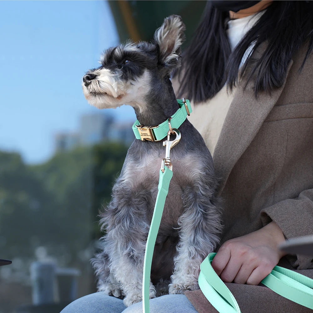 Ensemble de harnais et de laisse personnalisés pour chiens en cuir PU – Attaches individuelles avec ceinture pour petits et grands chiens 