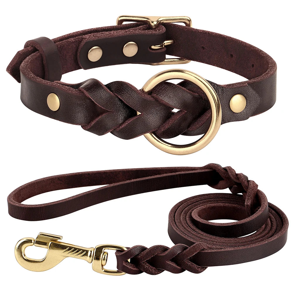 Echtes Leder Hundehalsband & Leinen-Set – Geflochten, robust und komfortabel
