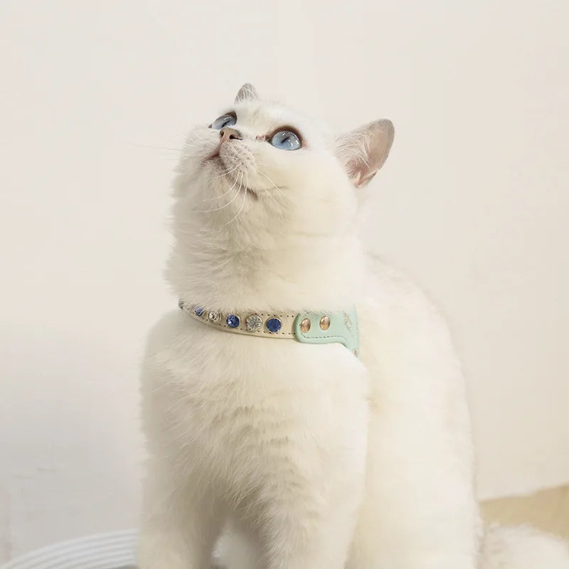 PU Leder Hund & Katzen Geschirr mit Leine – Elegantes Welpen Geschirr-Set mit Ziersteinen für kleine Hunde & Katzen