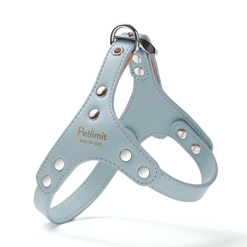 Premium Leder Hunde-Geschirr & Leinen Set – Robustes Hundegeschirr mit verstärkten Nieten für kleine Hunde & Welpen