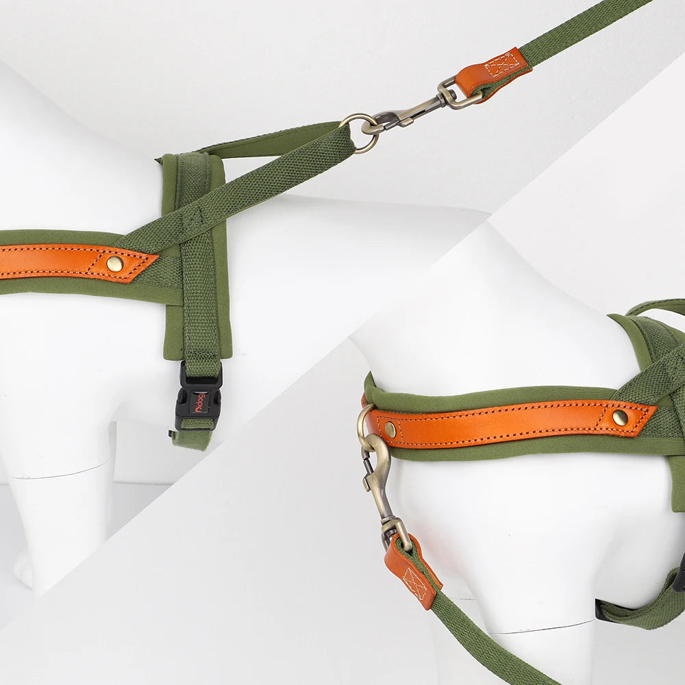 No-Pull Hunde-Geschirr Set aus Nylon & PU-Leder – Gepolstertes Harness mit Halsband & Leine für kleine, mittlere & große Hunde