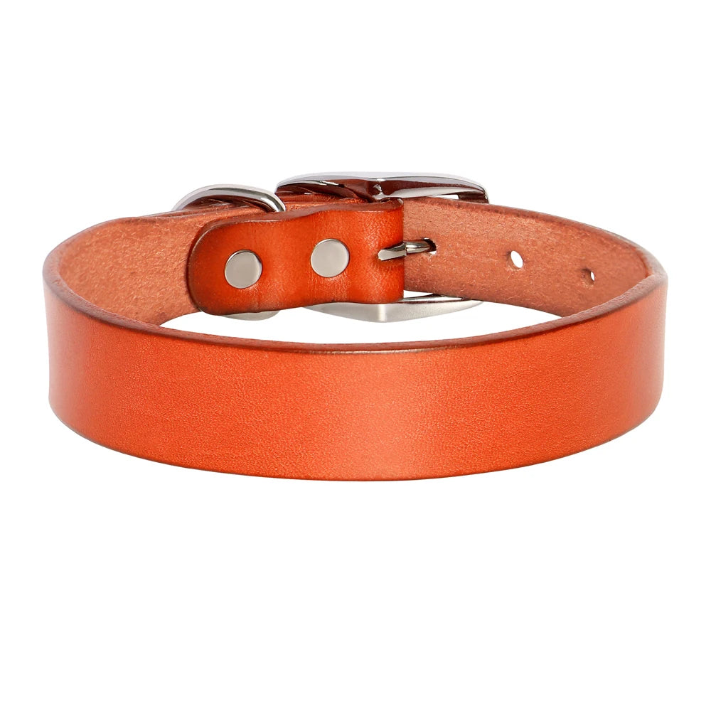 Echtes Leder Hunde- & Katzenhalsband – Verstellbares, langlebiges Lederhalsband XS–XL für kleine, mittlere & große Hunde
