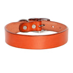 Echtes Leder Hunde- & Katzenhalsband – Verstellbares, langlebiges Lederhalsband XS–XL für kleine, mittlere & große Hunde