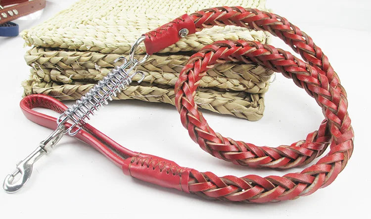 Starke Leder Hundeleine für große Hunde – Geflochtene Premium-Leine mit Stoßdämpfer & Feder für kraftvolle Rassen