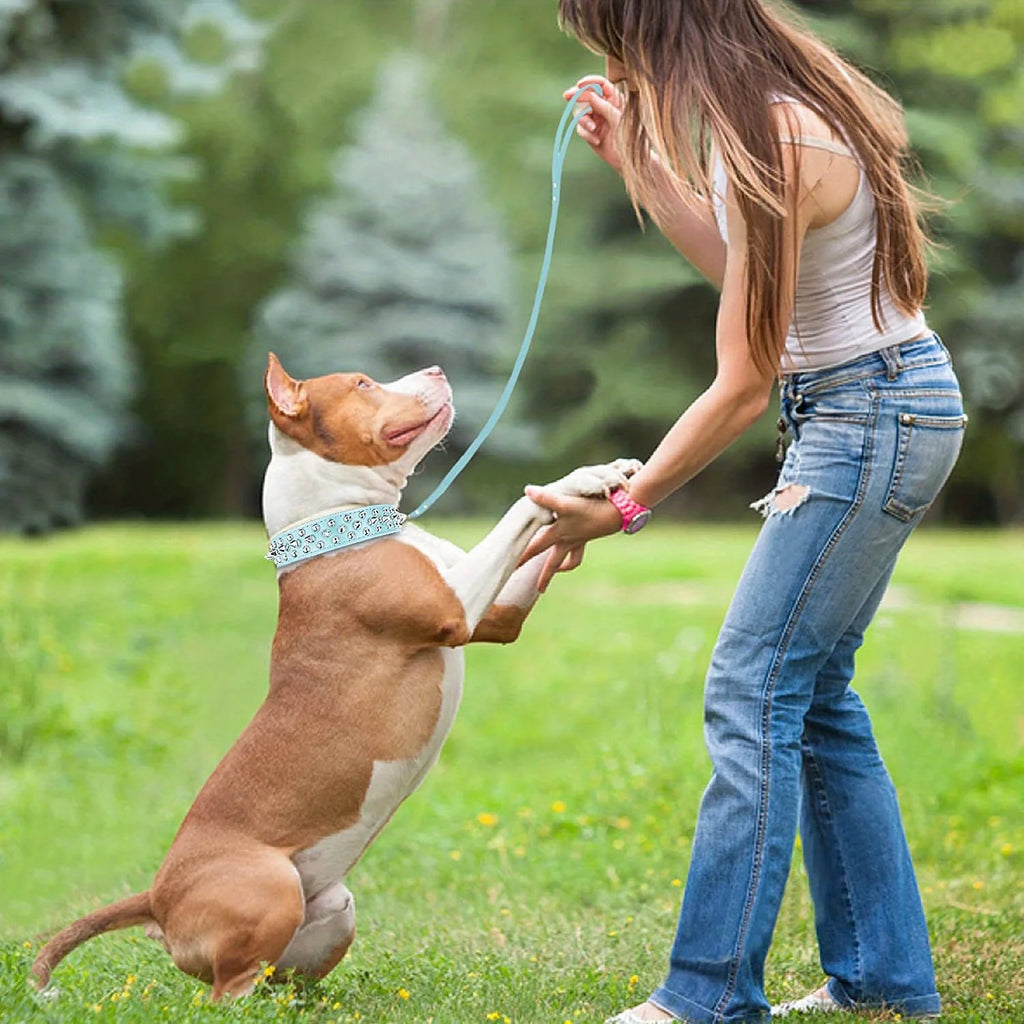 Stilvolles Leder Hunde-Set – Robustes Halsband, Harness & Leine für mittelgroße Hunde