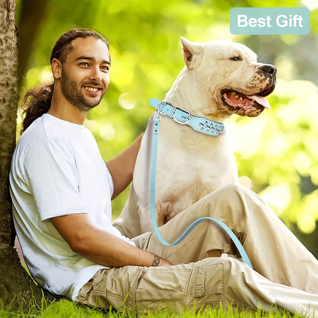 Stilvolles Leder Hunde-Set – Robustes Halsband, Harness & Leine für mittelgroße Hunde